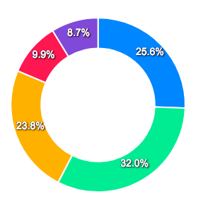 Vue Donut Chart